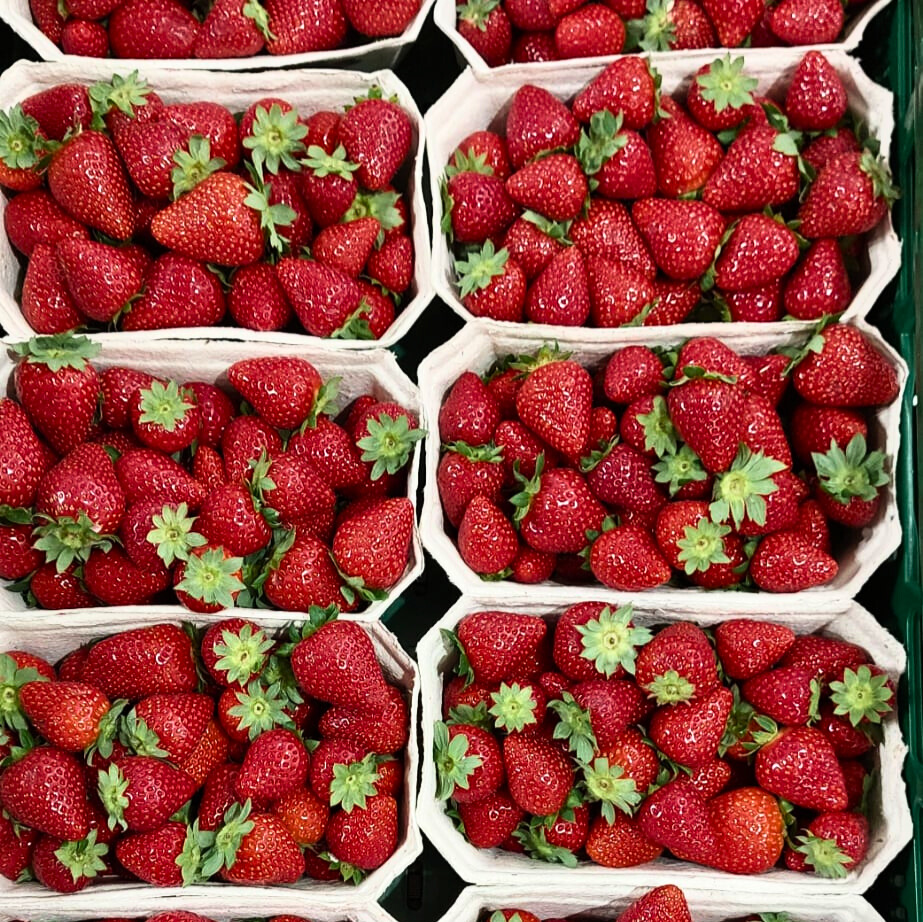 6577bd92-dec2-4a74-bbaa-bc2de8bea733