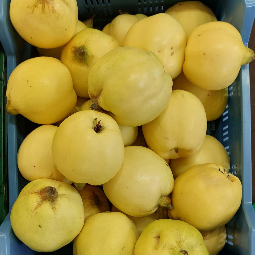 Design ohne Titel (53)