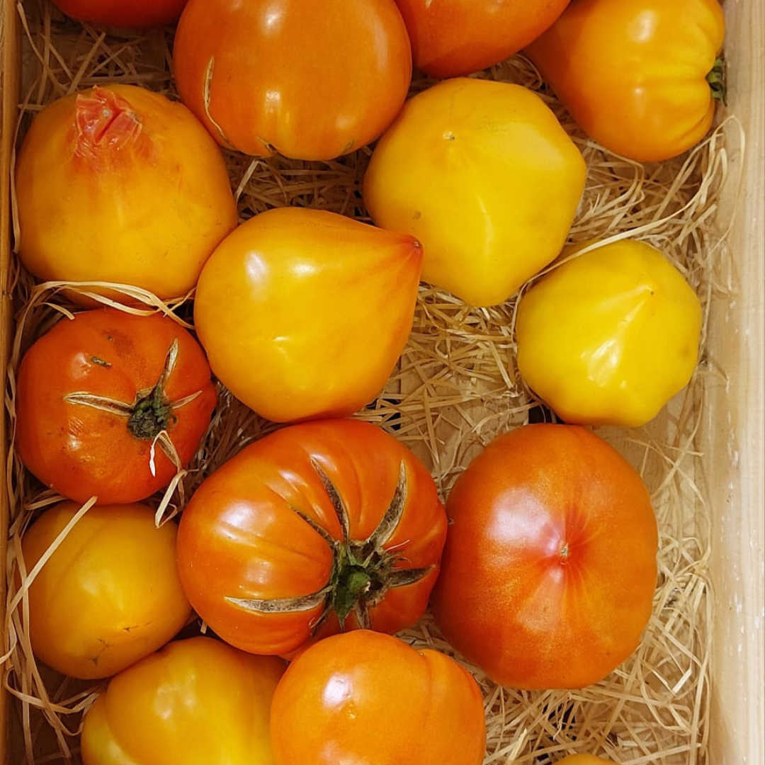 Design ohne Titel (54)