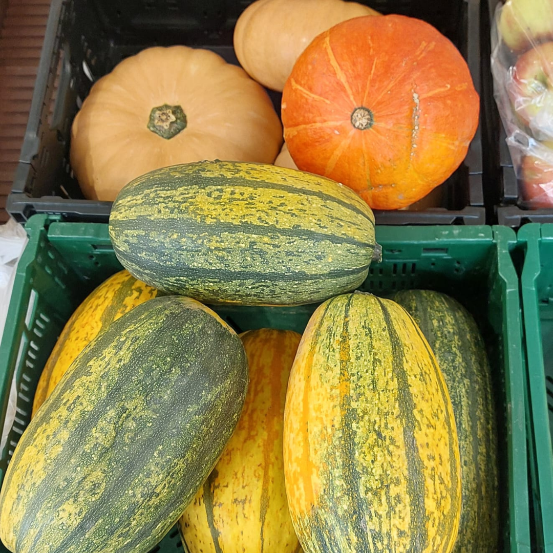 Design ohne Titel (55)