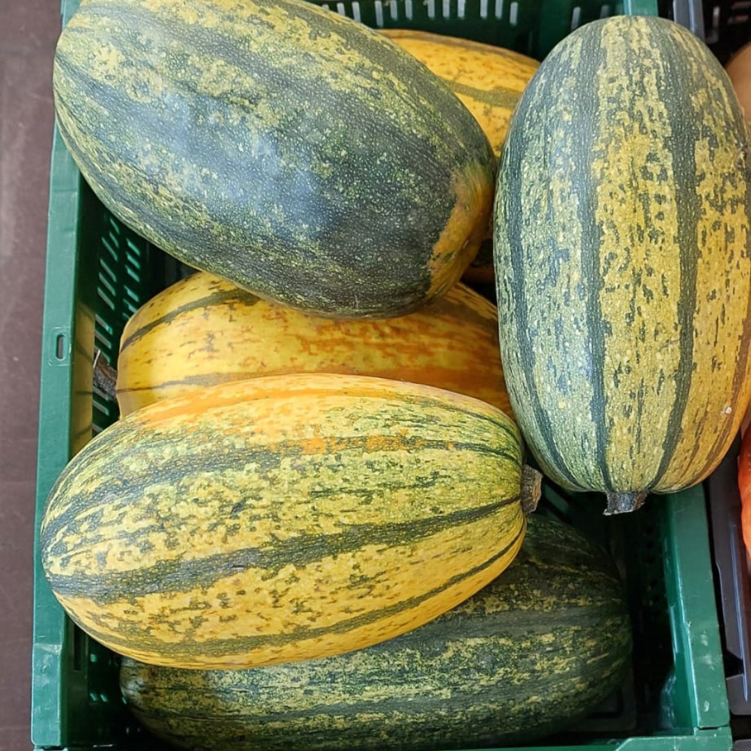 Design ohne Titel (56)