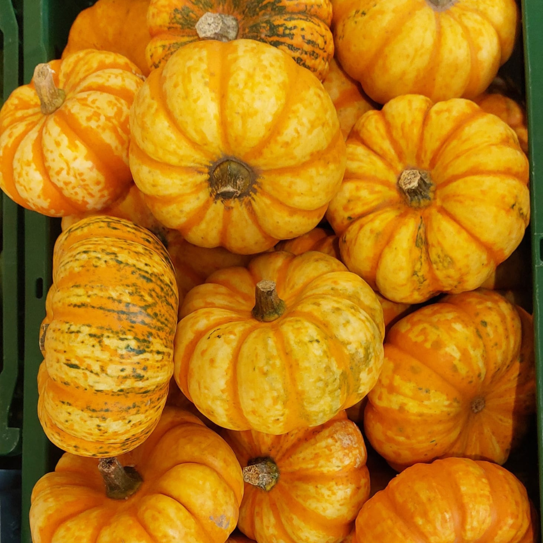 Design ohne Titel (57)