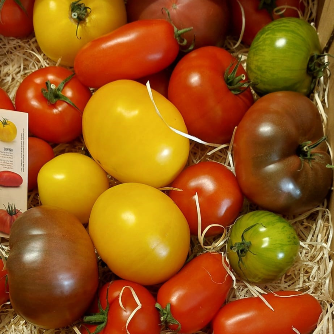 Design ohne Titel (58)