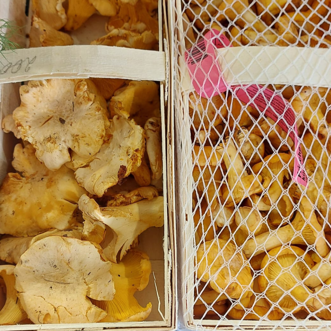 Design ohne Titel (59)